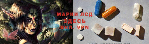 индика Барнаул