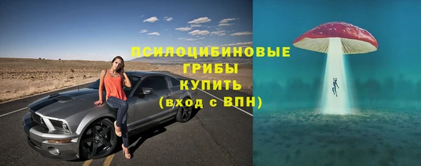 ПСИЛОЦИБИНОВЫЕ ГРИБЫ Пересвет