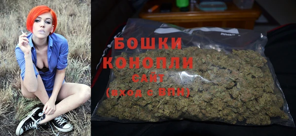 ПСИЛОЦИБИНОВЫЕ ГРИБЫ Пересвет